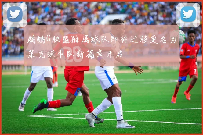 鹈鹕G联盟附属球队即将迁移更名为莱克顿中队新篇章开启